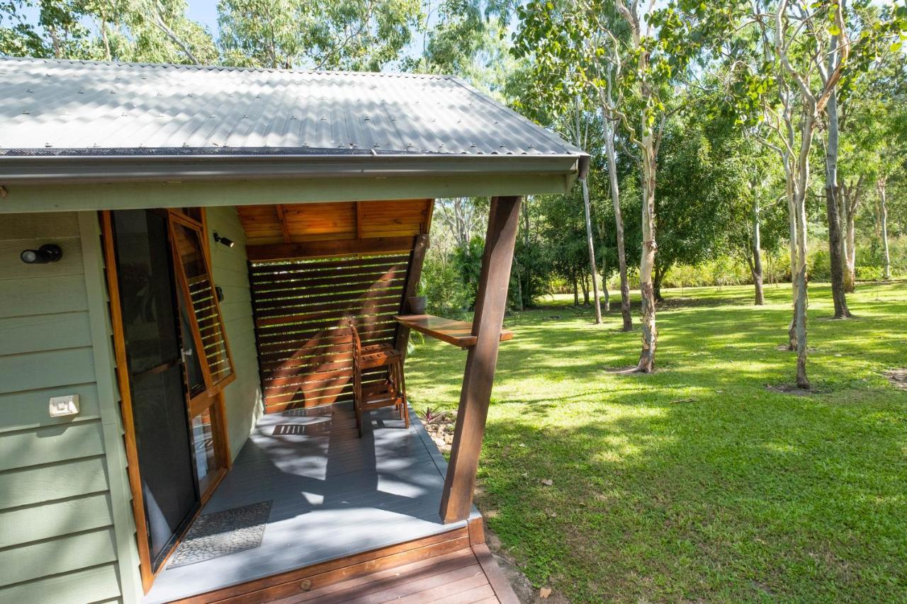Airlie Beach Eco Cabins - Adults Only מראה חיצוני תמונה
