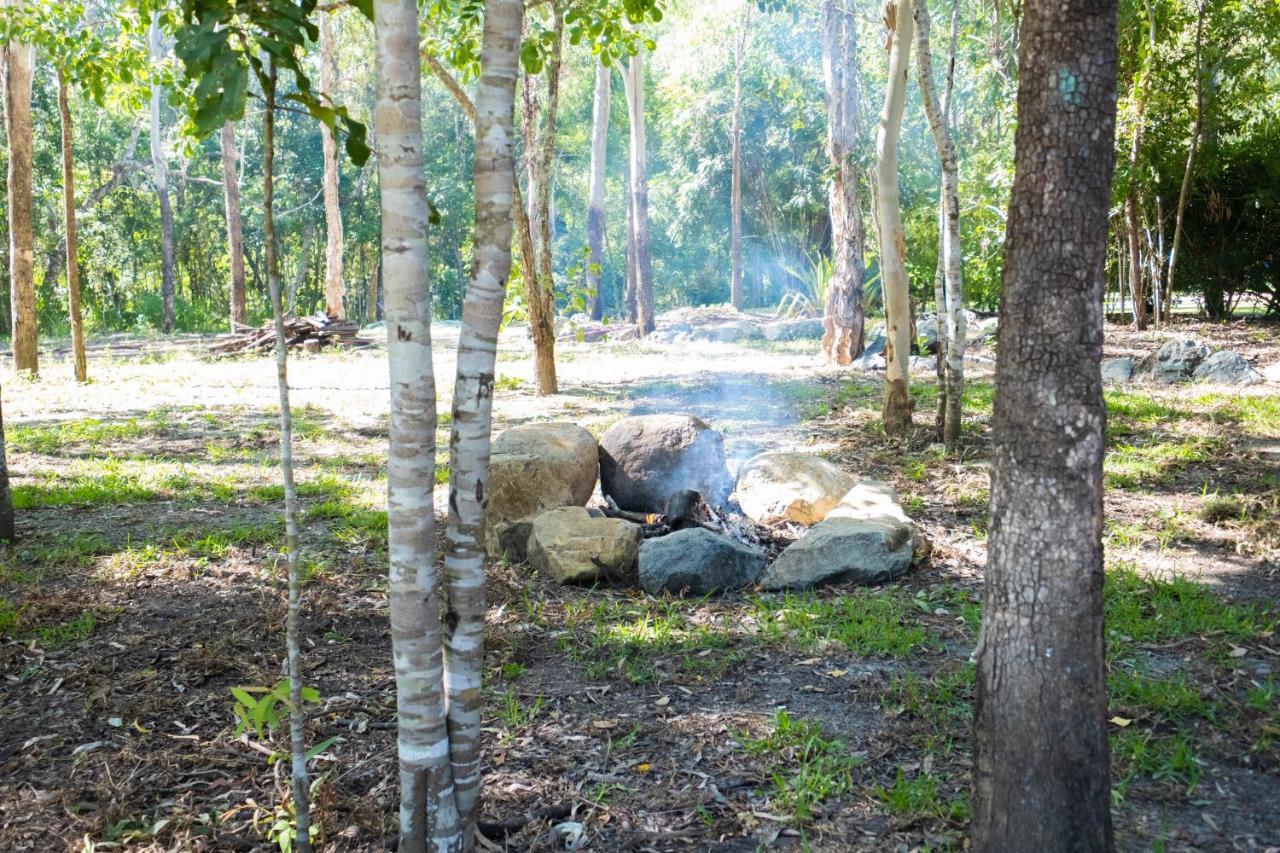 Airlie Beach Eco Cabins - Adults Only מראה חיצוני תמונה