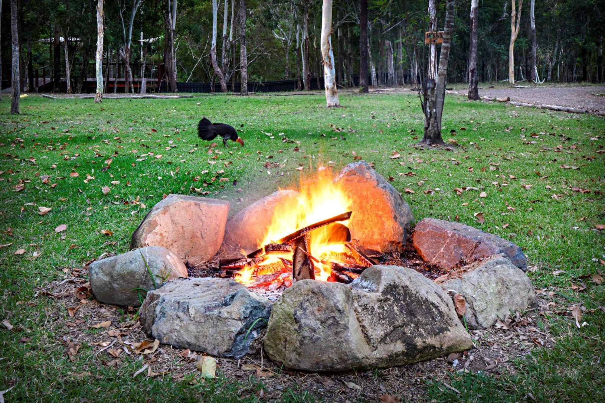 Airlie Beach Eco Cabins - Adults Only מראה חיצוני תמונה